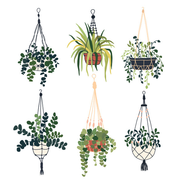 一套悬挂的拖挂流苏房屋花盆。家庭室内花盆。室内各种编织室内植物。家庭办公室花园悬挂植物。矢量插图在平面风格图片下载
