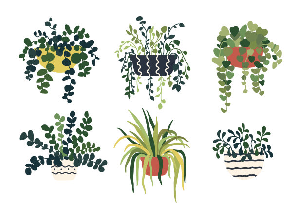 一套悬挂的拖尾盆栽。家庭室内花盆。室内各种室内植物。家庭办公室花园悬挂植物。矢量插图在平面风格图片下载