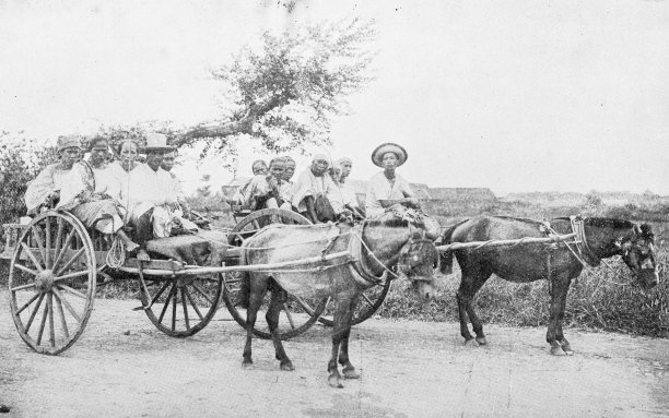 美西战争期间菲律宾的古董照片，卡拉宝车图片下载