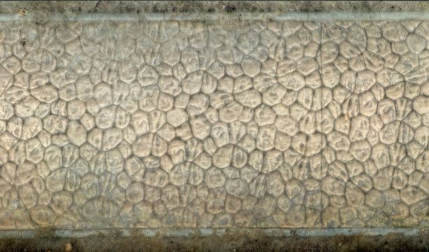 远古盔甲:爬行动物混凝土纹理图片下载