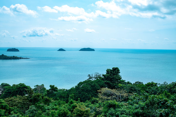 从上面看大海。美丽的海洋。船。夏天。树冠图片下载