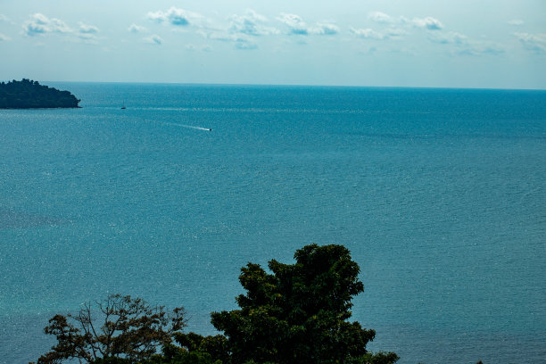 从上面看大海。美丽的海洋。船。夏天。树冠图片下载