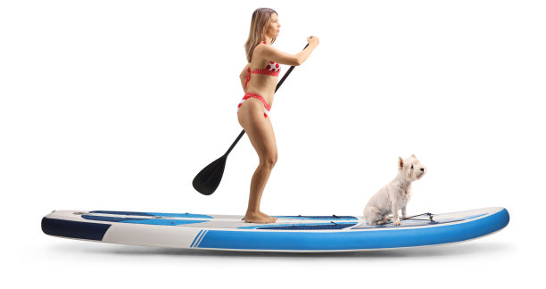 一个穿着比基尼的年轻女子与一只狗在SUP板上划桨的全长侧面照片图片下载