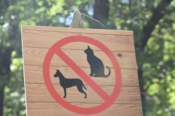 禁止宠物入内标志图片下载