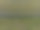 菠萝田的抽象照片种植在仙人掌森林的边缘图片下载