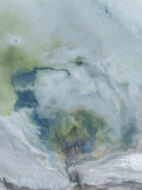 自然的形状和纹理图片下载