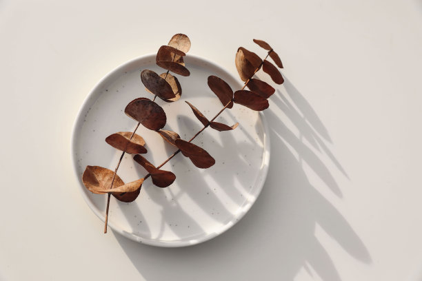 中性花卉静物画。阳光下干燥的桉树树枝和白色斑点的陶瓷板。米色的桌子背景，阴影。天然的成分。平房，俯视图，没有人。图片下载