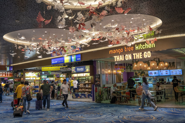 旅客在新加坡樟宜机场图片下载