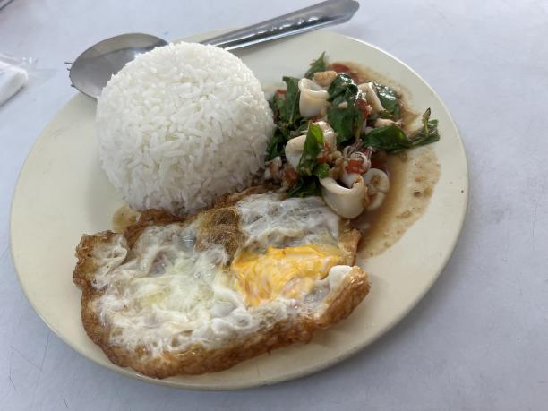 一盘饭、肉和蔬菜的照片。图片下载