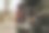 狗坐在汽车后备箱里的照片图片下载