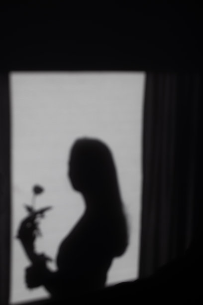 一个女人在窗前的剪影，前面有一朵花图片下载