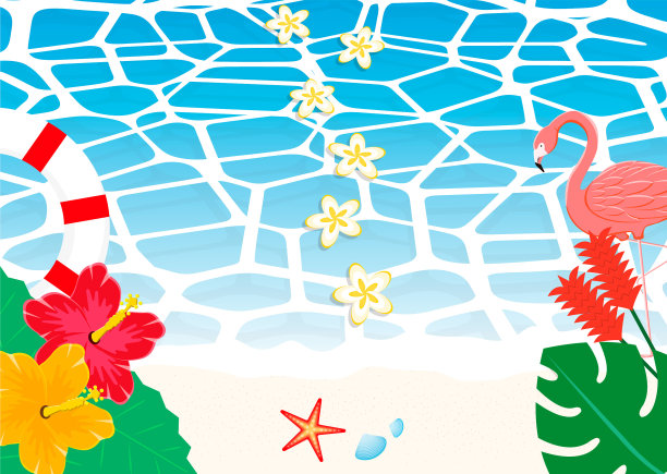 热带海洋表面的图像，上面漂浮着鸡蛋花。横向。图片下载