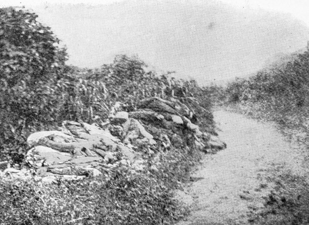 美西战争期间古巴的古董照片，在圣胡安战役的El Poso附近图片下载