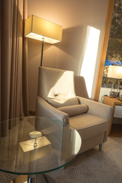 现代旅馆房间里的沙发床图片下载