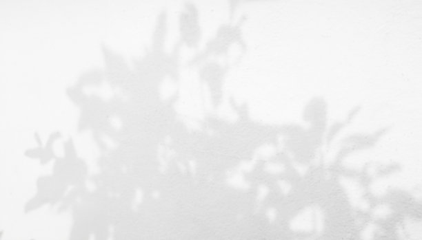 阴影背景抽象离开覆盖墙地板灯光效果白色植物阳光背景模型最小春夏自然灰色模糊摄影场景模板海报卡片框架产品。图片下载