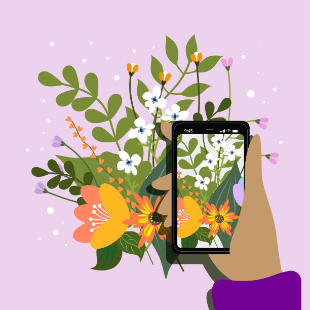 手持电话。给花拍照。图片下载