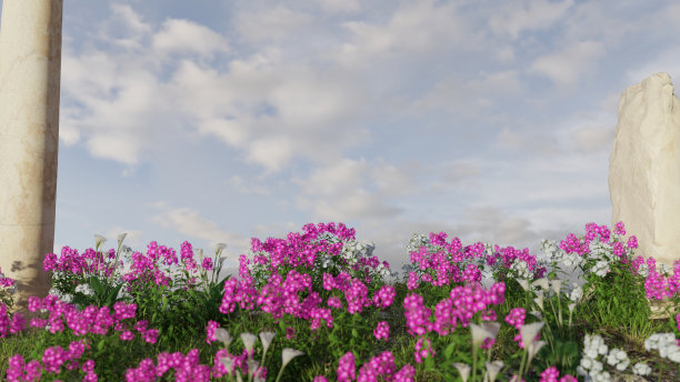 放松的草地图片下载