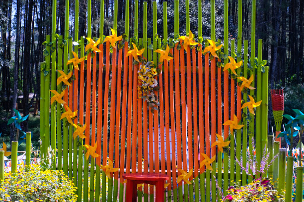 一个巨大的心形照片摊图片下载