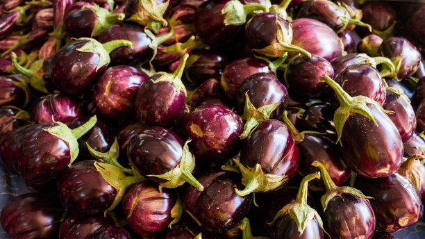 集市上的一堆圆形茄子。图片下载