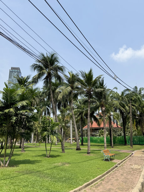 电缆悬挂在草坪草地上的图片，泰国曼谷巴统湾区隆比尼公园，棕榈树，多云晴朗的蓝天图片下载