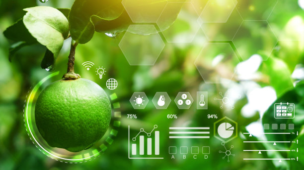 带有水滴的天然鲜石灰，带有视觉图标的智能农业和精准农业4.0，数字技术农业和智能农业概念。图片下载