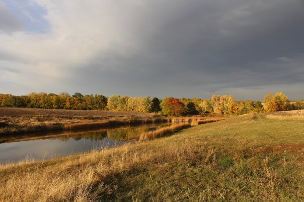 一条周围有树和草的河图片下载