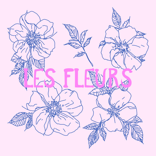 牡丹花抽象素描涂鸦插画图片下载