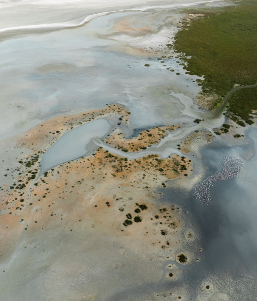 自然的形状和纹理图片下载