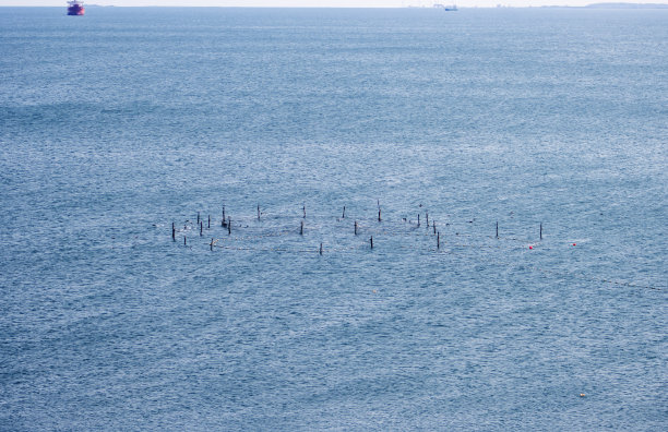 蓝灰色的大海里的小规模养鱼场图片下载