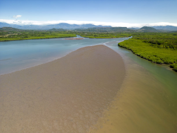 低潮时的海洋鸟瞰图与红树林-库存照片图片下载