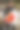 一大束秋天的红色花朵:非洲菊、菊属植物、红掌，一个年轻女子手里拿着一根玉米棒图片下载