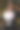 一位漂亮的年轻女子看着一束装在白色包装纸里的粉红色和白色的鲜花图片下载