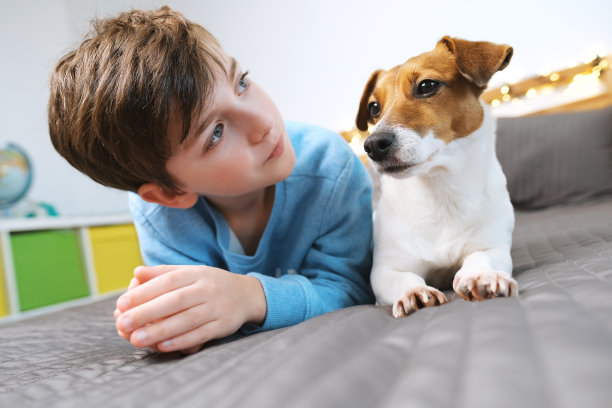 照片中，快乐的男孩和他的狗狗杰克罗素梗依偎在床上的灰色毯子上，在明亮的灯光散景下深情地看着他的主人。的生活方式。宠物很可爱图片下载