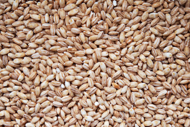 干薏米特写平面食物背景。高质量照片图片下载