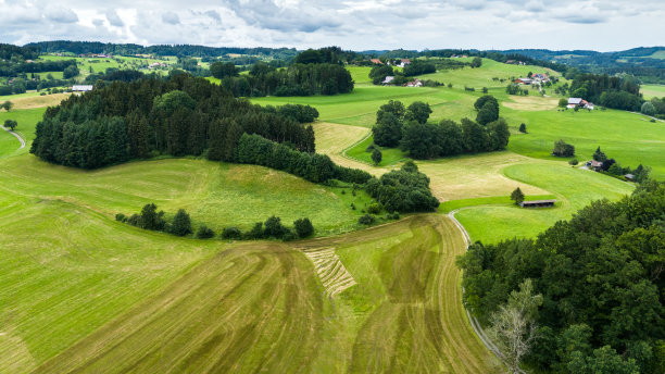 绿色的田野和牧场景观与森林，巴伐利亚和德国阿尔卑斯山，全景照片，德国图片下载