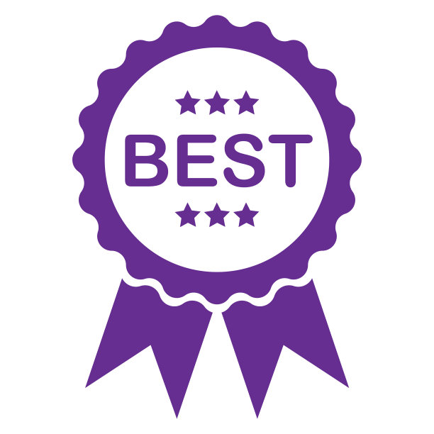 带文字的紫色标签最好图片下载