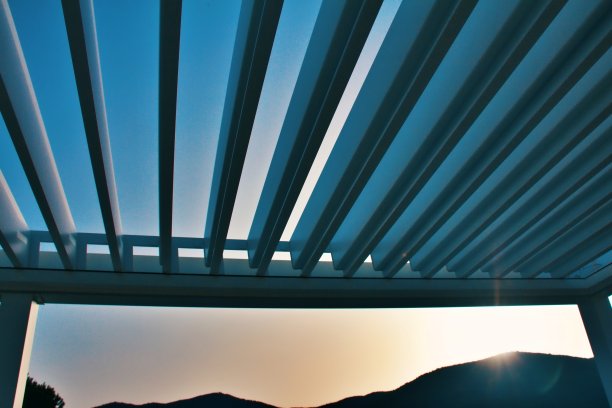 藤架雨棚沐浴在阳光下的照片与复制空间图像图片下载