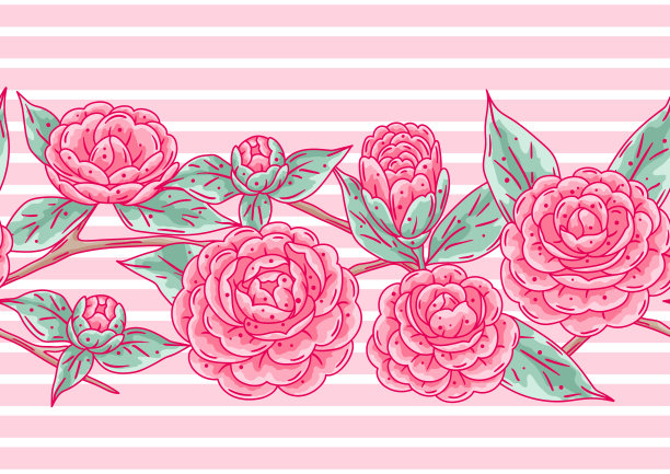 茶花图案。美丽的装饰植物。图片下载