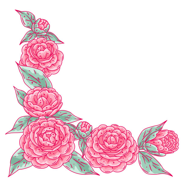 茶花的背景。美丽的装饰植物。图片下载