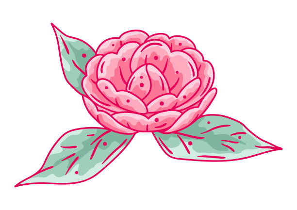 山茶花插图。美丽的装饰植物。图片下载