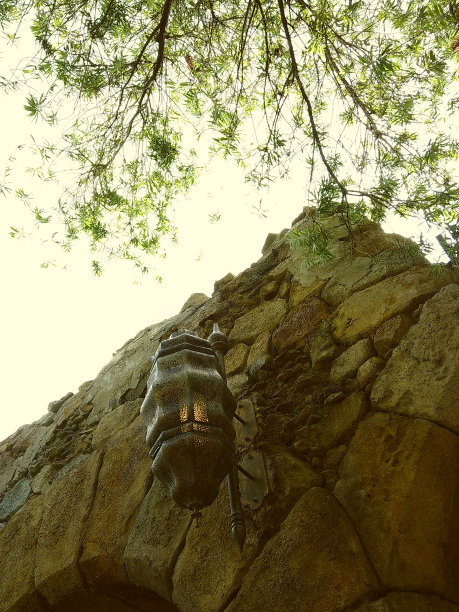 郁郁葱葱的绿色植物和树木在2024年春天的户外水边散步的穆迪电影照片图片下载