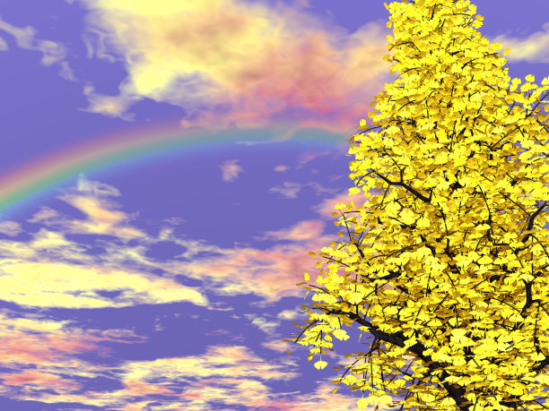 银杏树和彩虹的奇妙景观图片下载