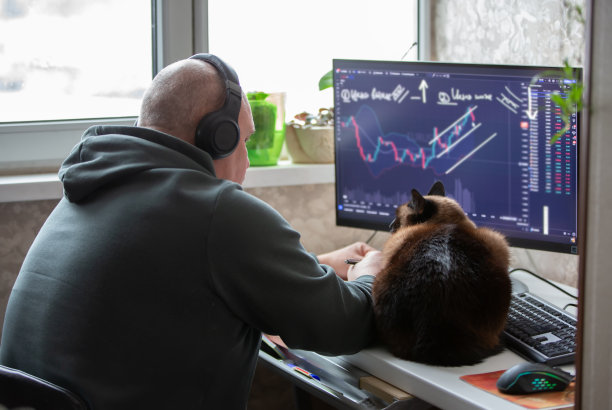 一名男性坐在家里的电脑前，监视股票交易所的时间表，从事交易和股票交易。图片下载