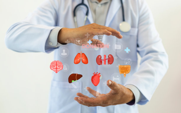 器官捐赠和移植的概念，医生手持各种人体器官的虚拟图标，包括脑、肺、心、肝、肾和肠，挽救器官捐赠的生命图片下载