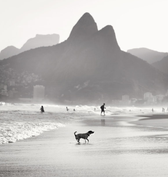 在巴西里约热内卢的伊帕内马海滩，海滩游客的剪影和沙子雕刻的一只狗。库存图片图片下载