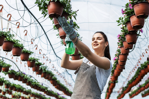 照看鲜花的年轻女子图片下载