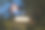 在夜晚的窗户里模糊的倒影。漂亮的散景照片图片下载