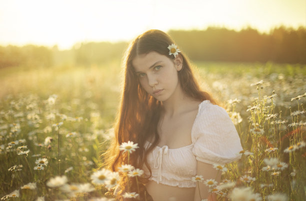 红头发卷曲的长发女孩坐在田野里的雏菊。轻衣服，照片背景没有天空，晚上，背光图片下载