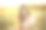 红头发卷曲的长发女孩坐在田野里的雏菊。轻衣服，照片背景没有天空，晚上，背光图片下载