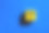 方案二:文字写在蓝色背景的黄色木块上图片下载
